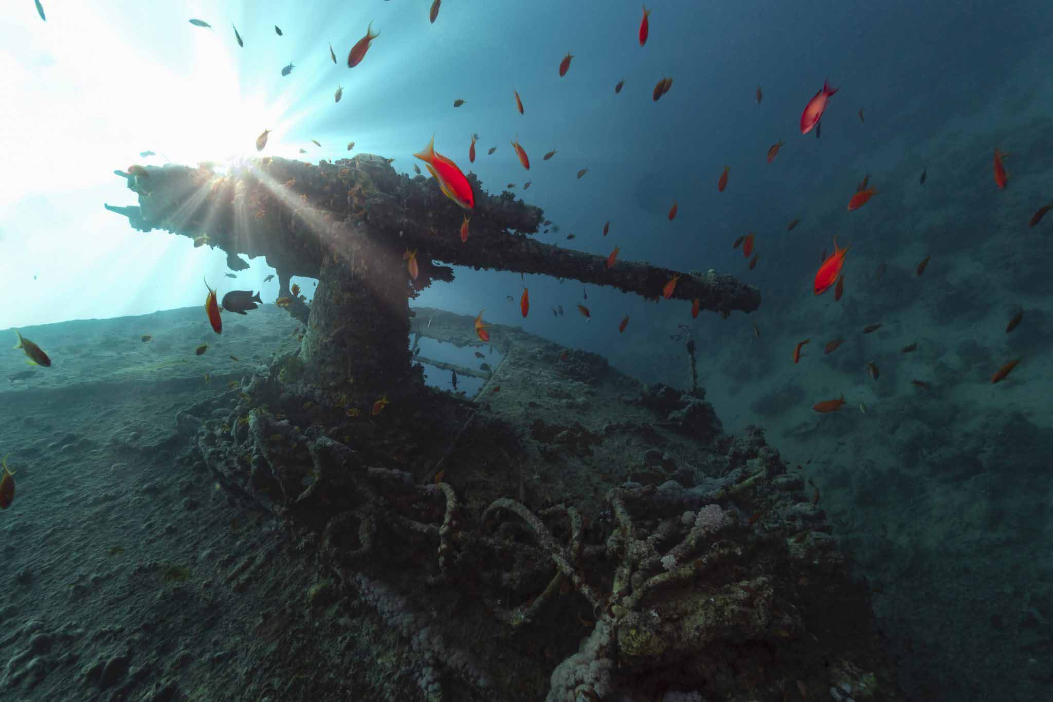 SS Thistlegorm | From Hurghada | Red Sea Diving Academy | EGYPT