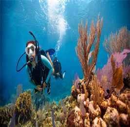 diving in Egypt
