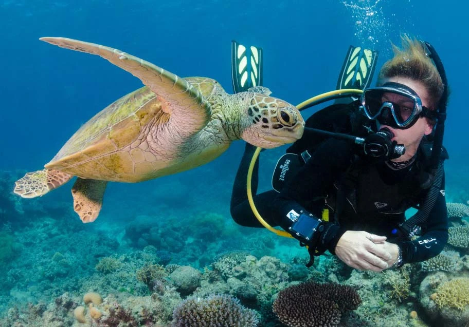 Hurghada Diving | Scuba Diving Center | PADI Courses